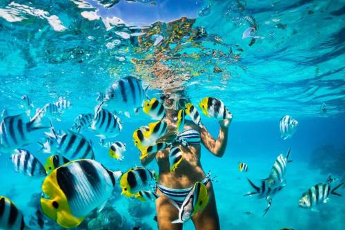 El-Acuario-Isla-Catalina-RD