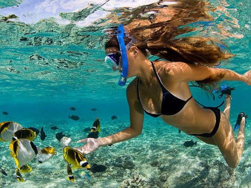 tours Isla Catalina