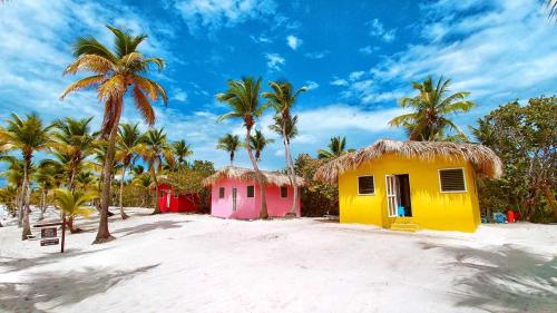 excurison isla catalina