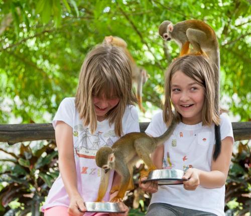 tour monkey land