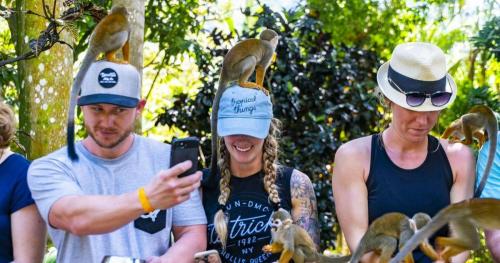 monkey land aventura