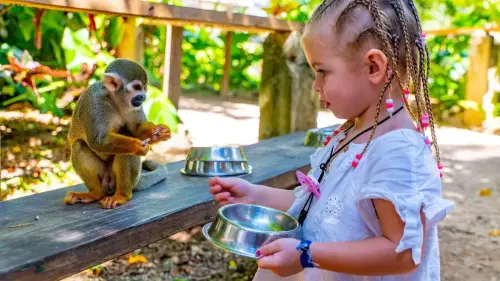viaje a monkey land