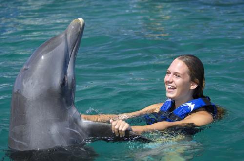 nadar con delfines