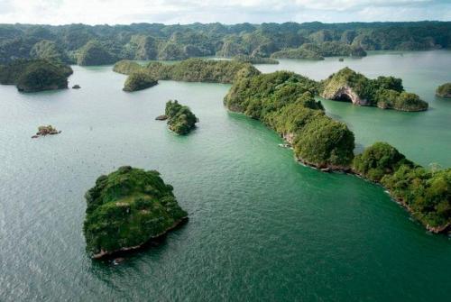 tours los haitises