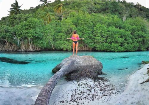 tour samana
