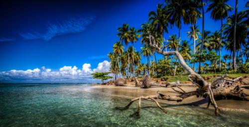 excursion samana