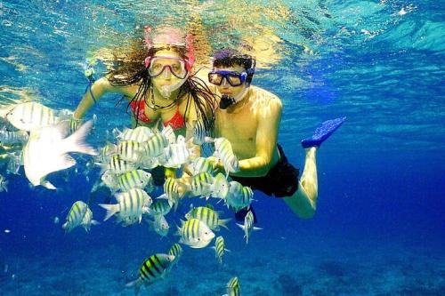 snorkel
