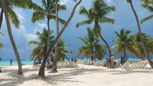 excursion isla saona