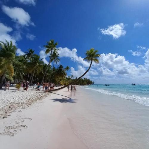 Tours Isla Saona