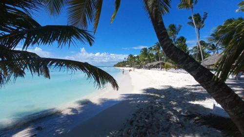 isla saona vip excursiones