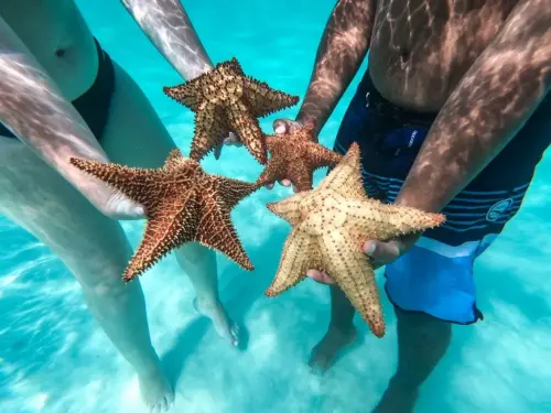 isla-saona-piscina-natural